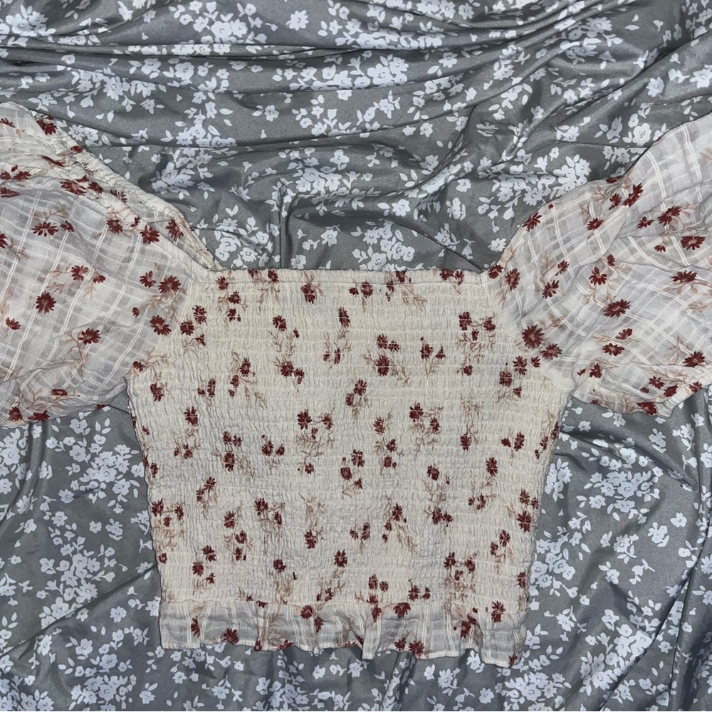 American Eagle Outfitters Floral Cream and Red Crop Top